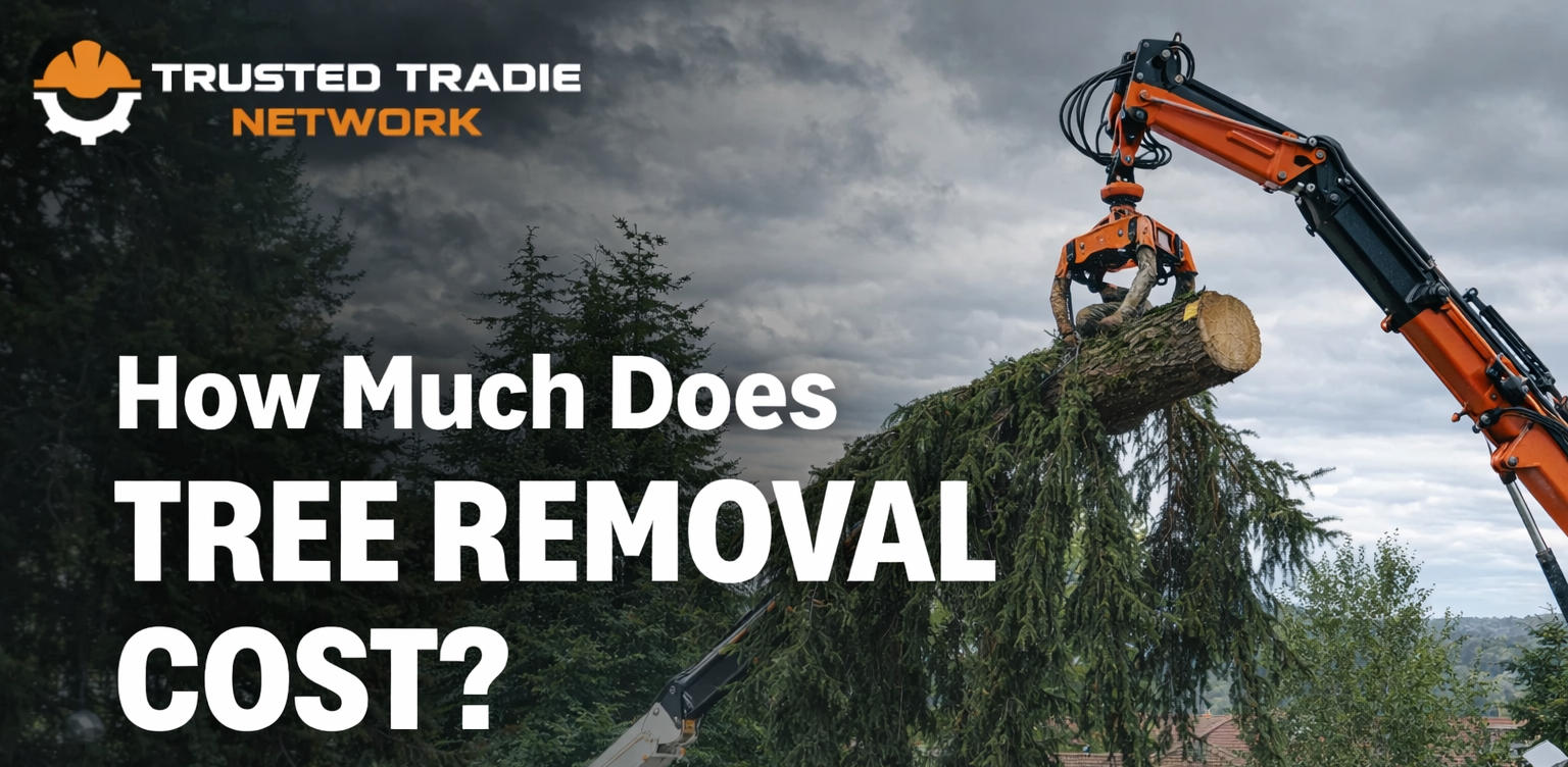 Tree Removal Cost Guide: Average Prices & Factors That Affect Cost